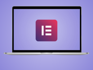 Elementor Pro - Advanced Page Builder (1 Year Update)